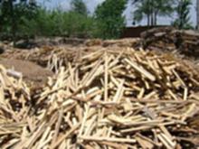 河北回收废木头，河北废木头回收