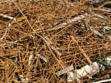 高价回收海口地区废旧钢筋