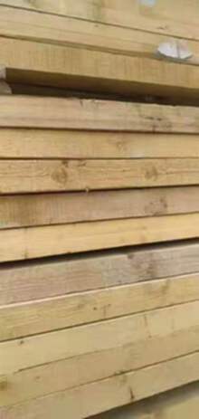河南专业求购大量木方，木方回收