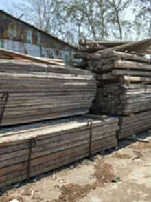 山东长期高价回收大量木方，大量木方回收