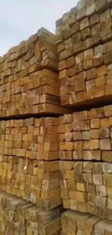 安徽高价求购大量木模板，专业回收木模板