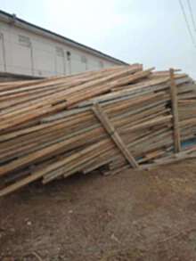 山东济南长期高价回收大量方木，方木回收