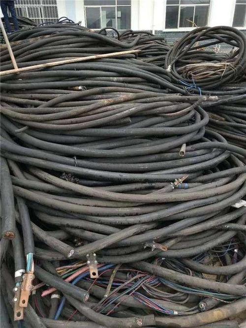 广东长期回收电缆