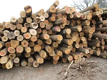 大量回收木材，木制品