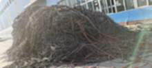 大连市长海县大量回收废电缆、长海县废电缆回收