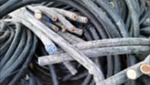 天津回收电缆