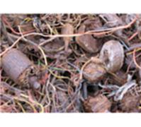 湖北地区高价回收废旧带胶铜线
