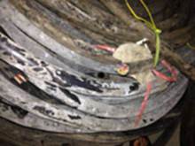 广西电线电缆废旧金属回收