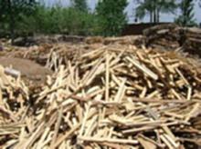 安徽回收废木头
