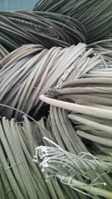 贵州钢芯铝绞线回收