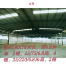 浙江出售50米*73米*6.8米二手钢构厂房