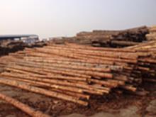 安徽地区大量回收圆木