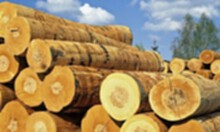 安徽地区回收大量木材