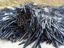 温州地区回收废旧电缆线