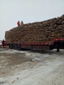 长期高价回收木材