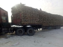 新疆木材回收