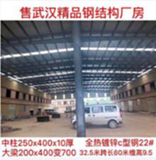武汉出售精品钢结构厂房