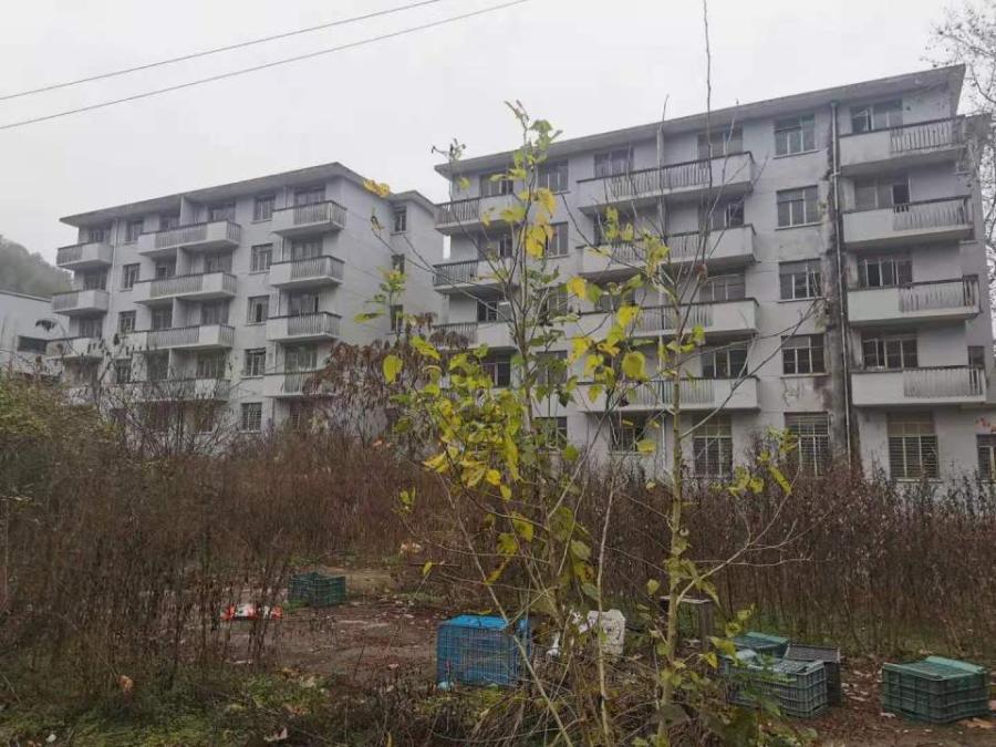胡乐村房地产 土地使用权及附属物网络拍卖公告