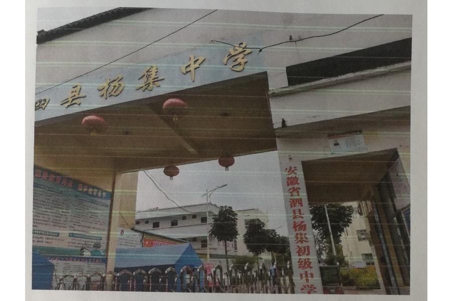 泗县杨集中学校内超市网络拍卖公告