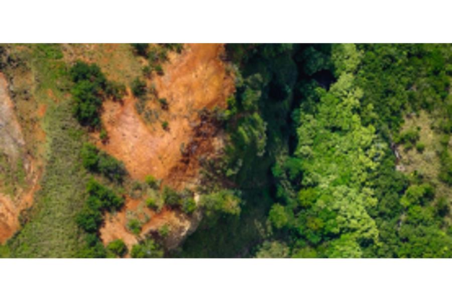 地质队地质队东山 22垧地参考小班红松面积公顷21.73网络拍卖公告