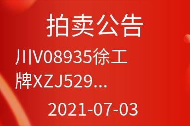 川V08935徐工牌XZJ5294JQZ25X)重型非载货专项作业车出售招标