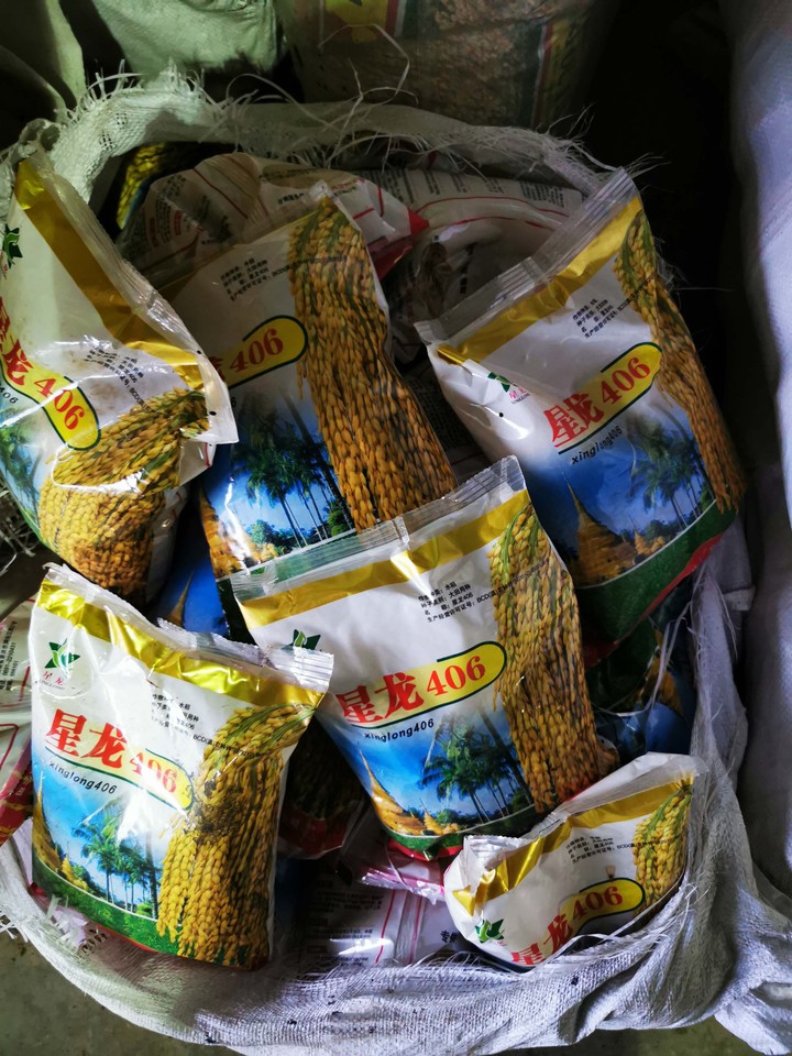 标一 稻谷种子3.68吨网络拍卖公告