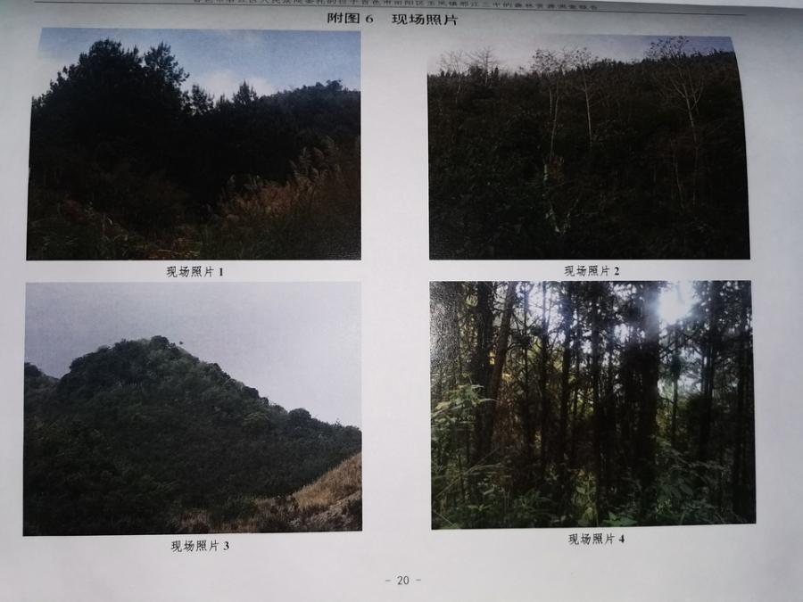 那江三中4.93公顷折合73.95亩林地使用权及林木所有权网络拍卖公告