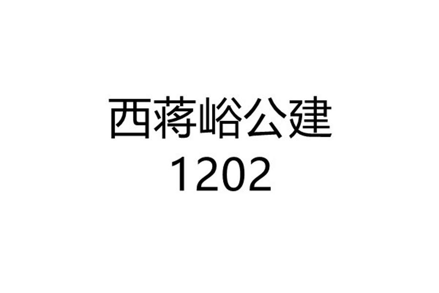 西蒋峪公建1202网络拍卖公告
