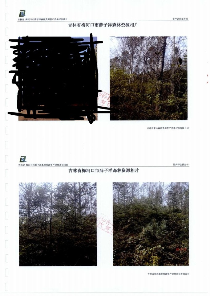 41亩林木所有权及林地使用权拍卖公告