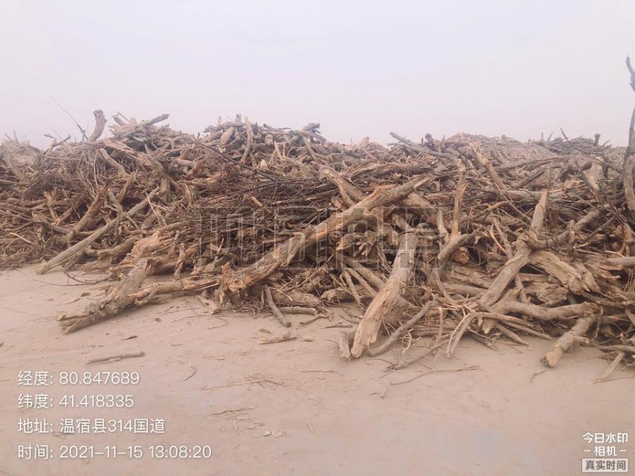 木业公司约3000吨树根网络拍卖公告