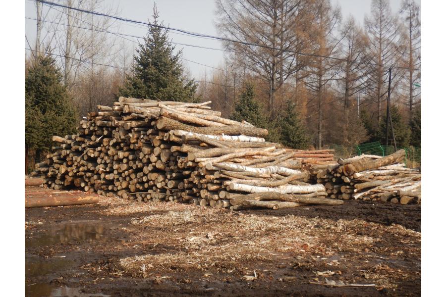 落叶松、杂木木材一批5421立方米网络拍卖公告