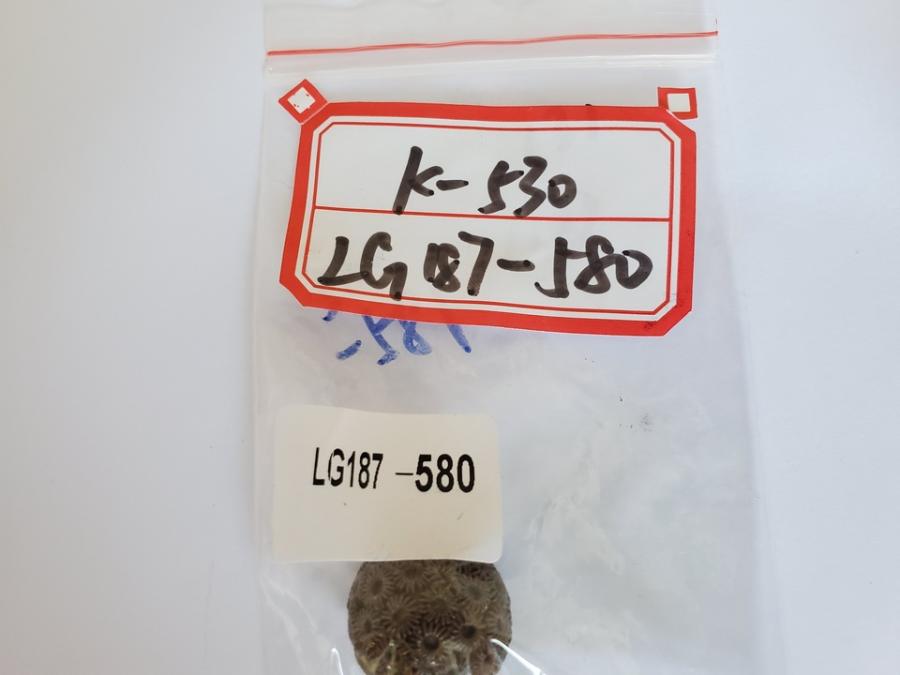 非贵金属K530数量1件棕黄网络拍卖公告
