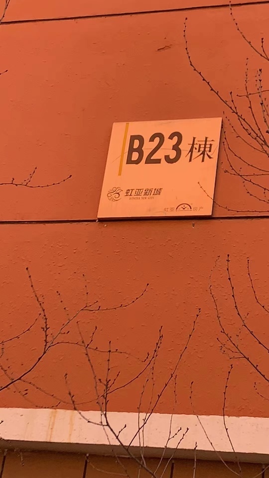 虹亚新城B233321网络拍卖公告