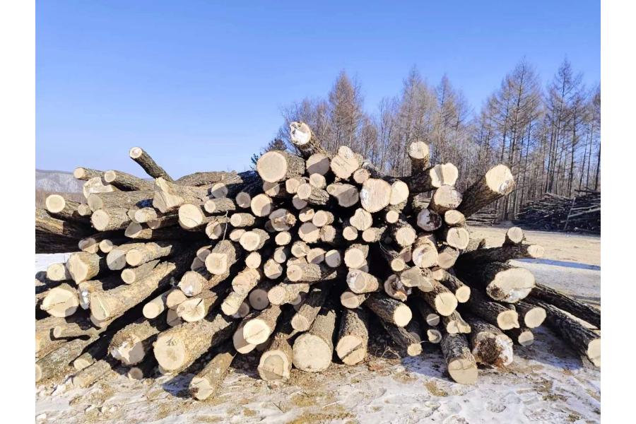 草原局所属林场及贮木场木材约3079立方米网络拍卖公告