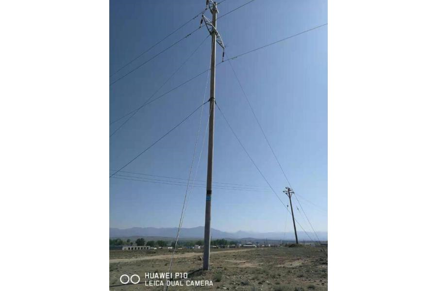 中恒电杆 电力电缆 电力架空线路一批网络拍卖公告