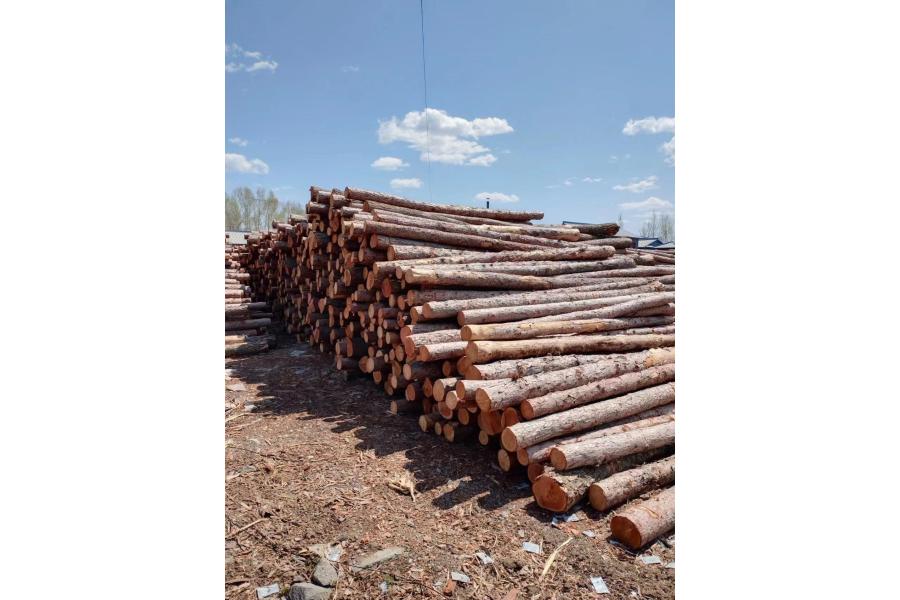 草原局林场及贮木场木材7600立方米网络拍卖公告