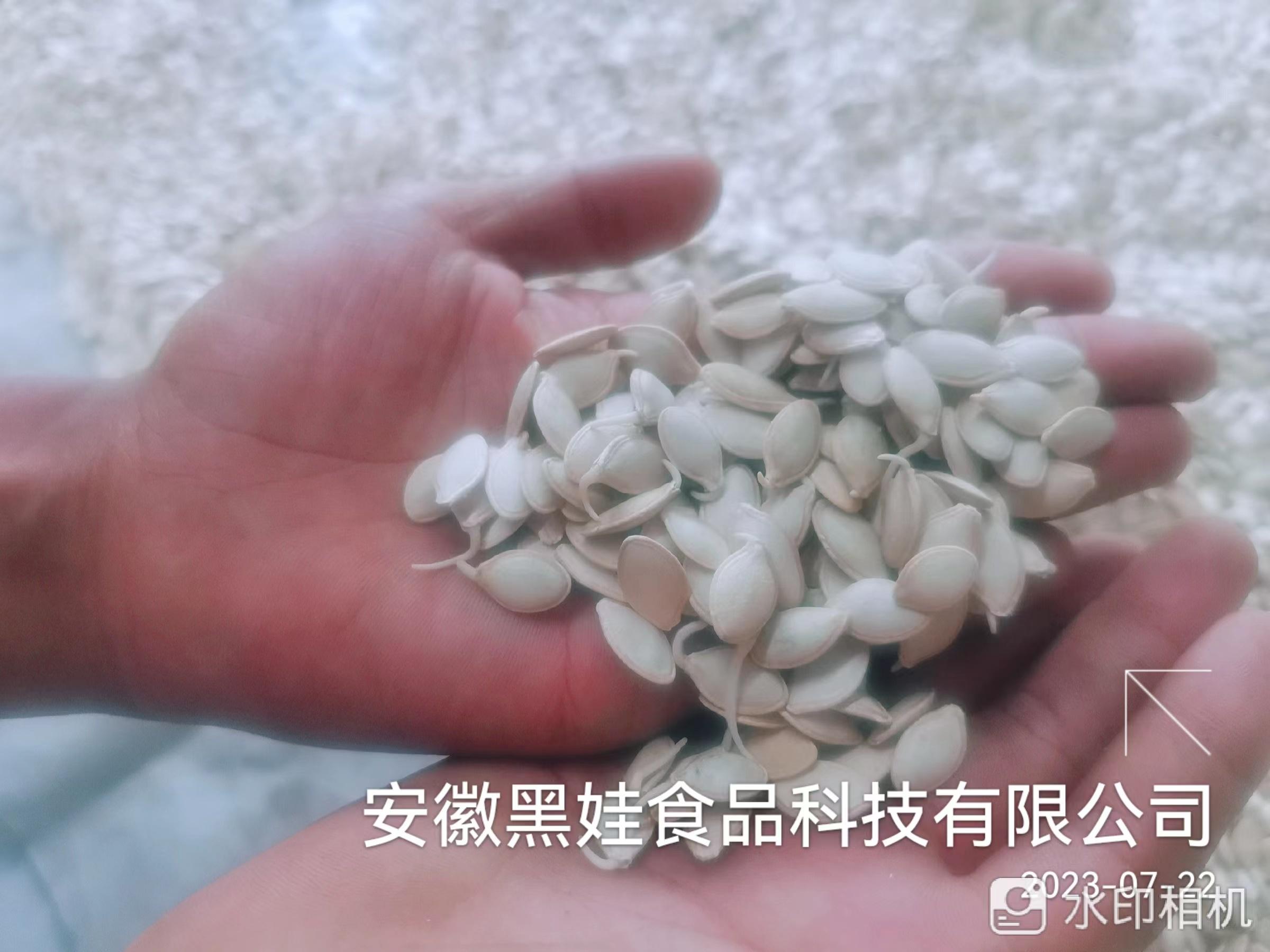 郝洲6.4吨葫芦籽拍卖公告