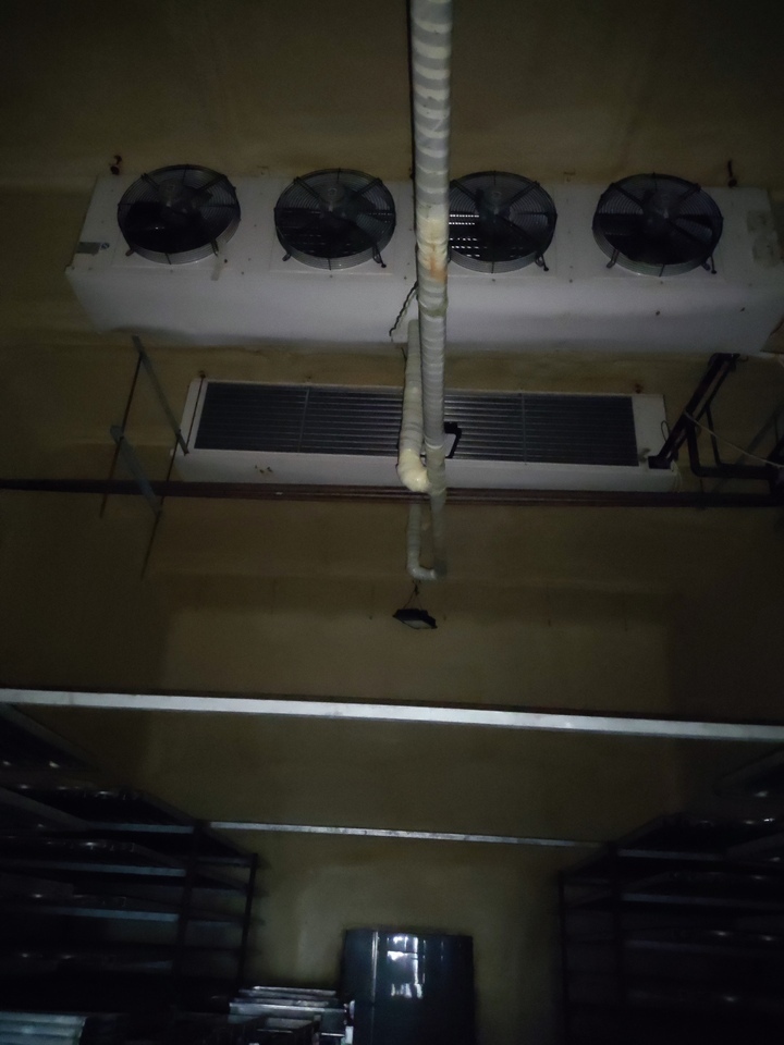 冷冻库排风机4个 冷冻库排管2套不包括压缩机及配套设施网络拍卖公告