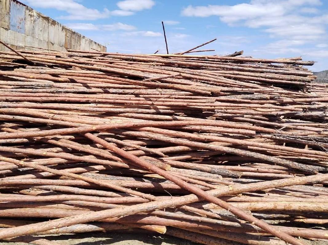 约 1.2万立方米木材木材公开出售招标