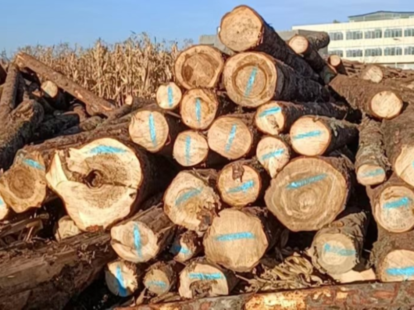 盐源县林草资源经营管理有限责任公司木材一批转让--标的5出售招标