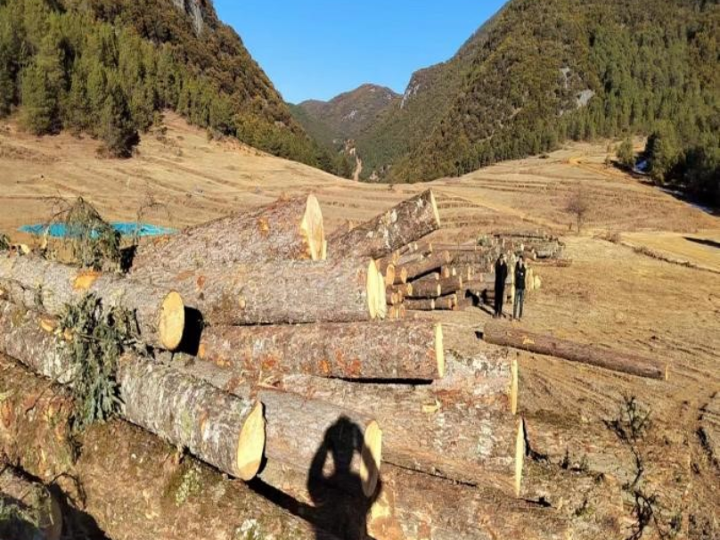 盐源县林草资源经营管理有限责任公司木材一批转让--标的3出售招标