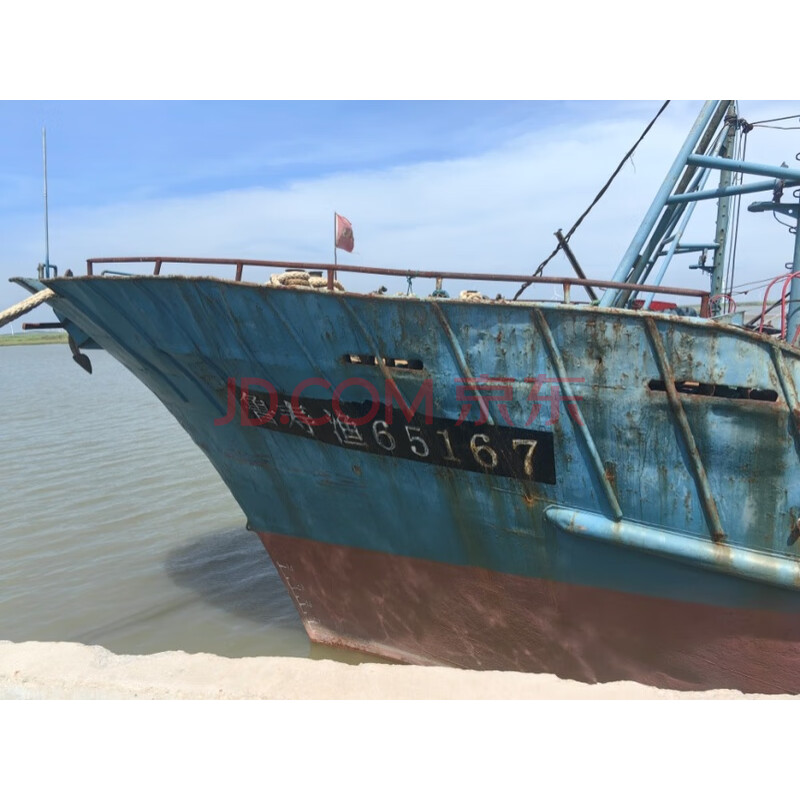 “鲁寿渔65167”号渔船网络拍卖公告