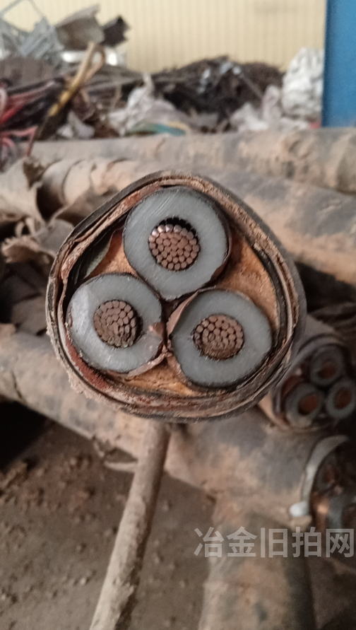 废铜芯电缆线 废电机 废氧枪头（带杂质） 废不锈钢等废旧物资一批拍卖公告
