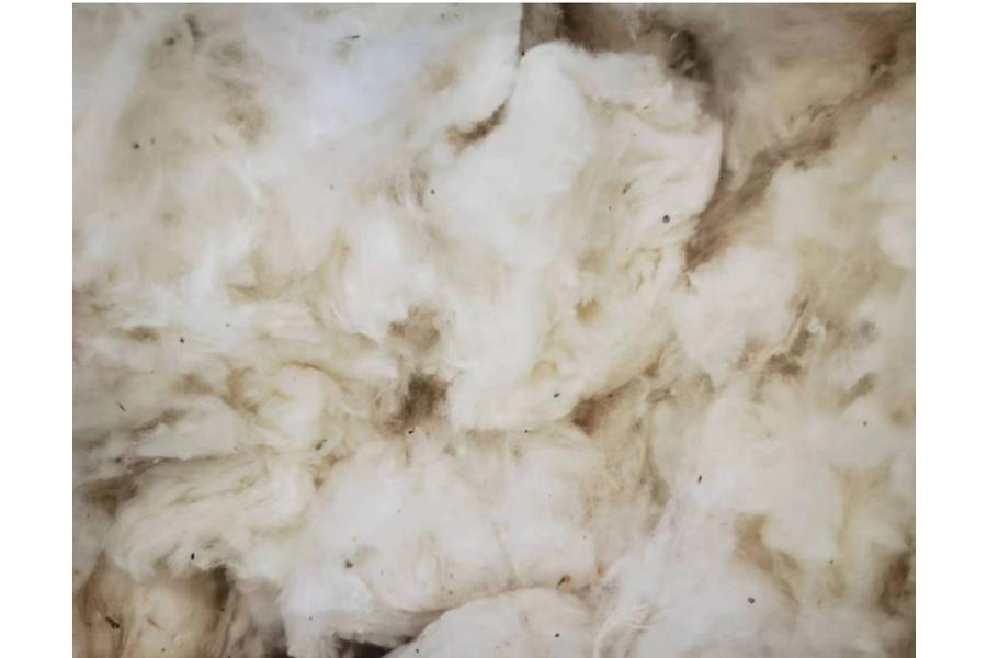 对2023年对实验室已检验的棉花样品期货(2023年10月-2024年6月期间实验室检验的棉花样品)约120吨(以实际重量为准)进行公开拍卖。网络拍卖公告