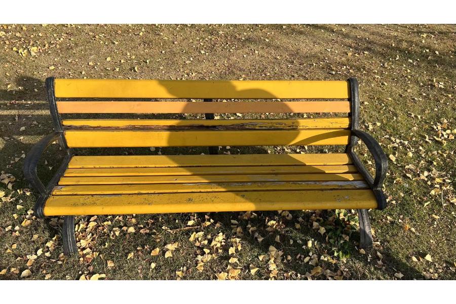 园林景区废旧钢木座椅1批（平椅约80张，靠背椅约220张）网络拍卖公告
