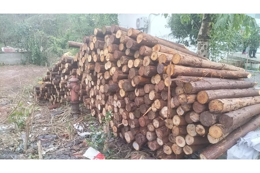 一盟拍卖：四川泸州废旧木桩一批网络拍卖公告
