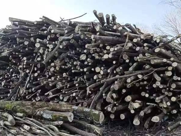 绥芬河林场一批原木和薪材分别出售招标