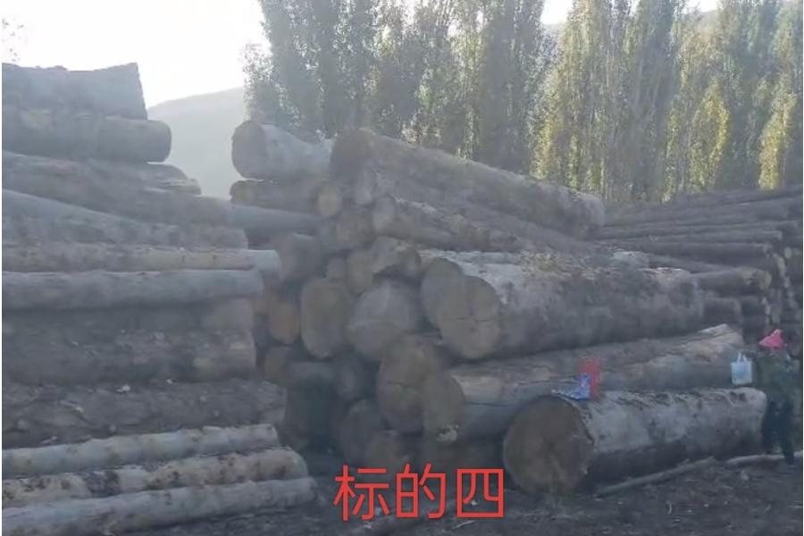 新源县南山波浪沟封山育林地块枯立木采伐和风倒木清理采伐林木一批网络拍卖公告