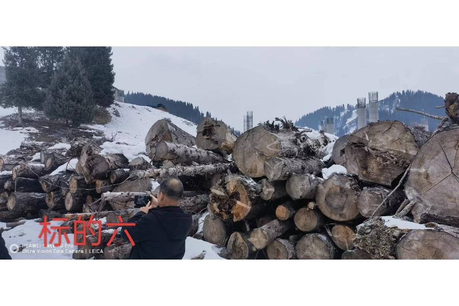 新源县国道218线那巴高速项目采伐林木一批网络拍卖公告