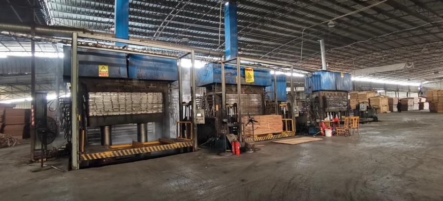 工业集中区一期标准厂房原纸浆厂北面机械设备一批网络拍卖公告